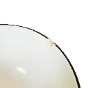 23.webp