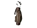 60.webp