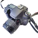 5.webp
