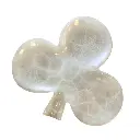 145.webp