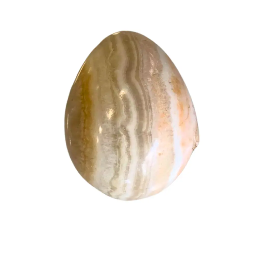 144.webp