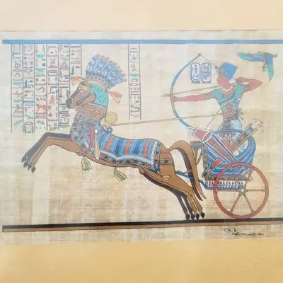 242.webp
