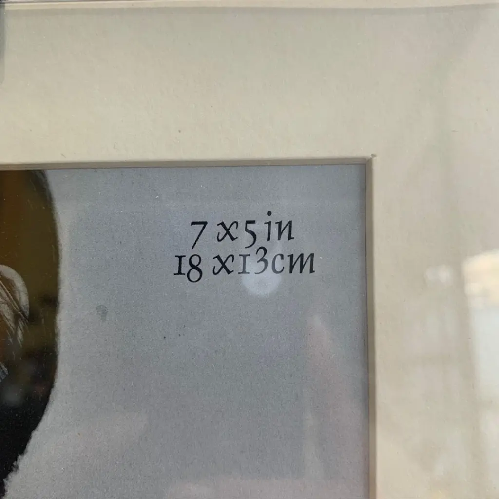 250.webp