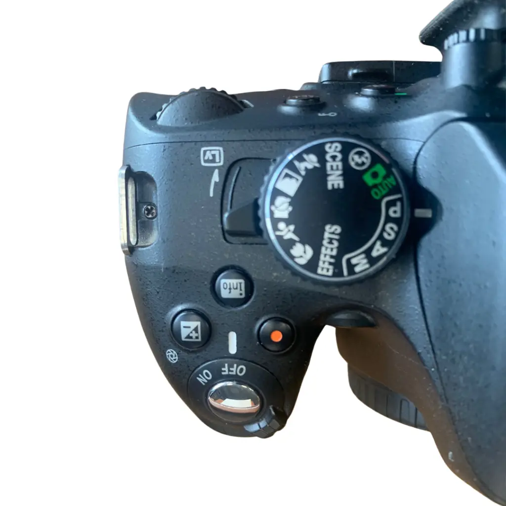 482.webp