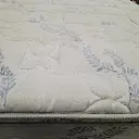 317.webp