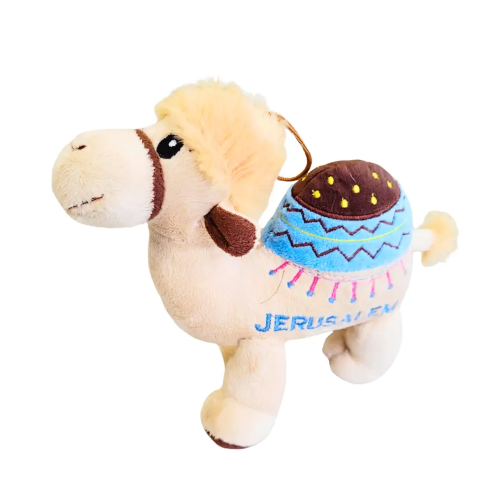 16.webp