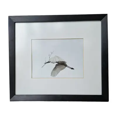 Cuadro de ave con marco de madera 39 x 34 cm