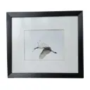 Cuadro de ave con marco de madera 39 x 34 cm