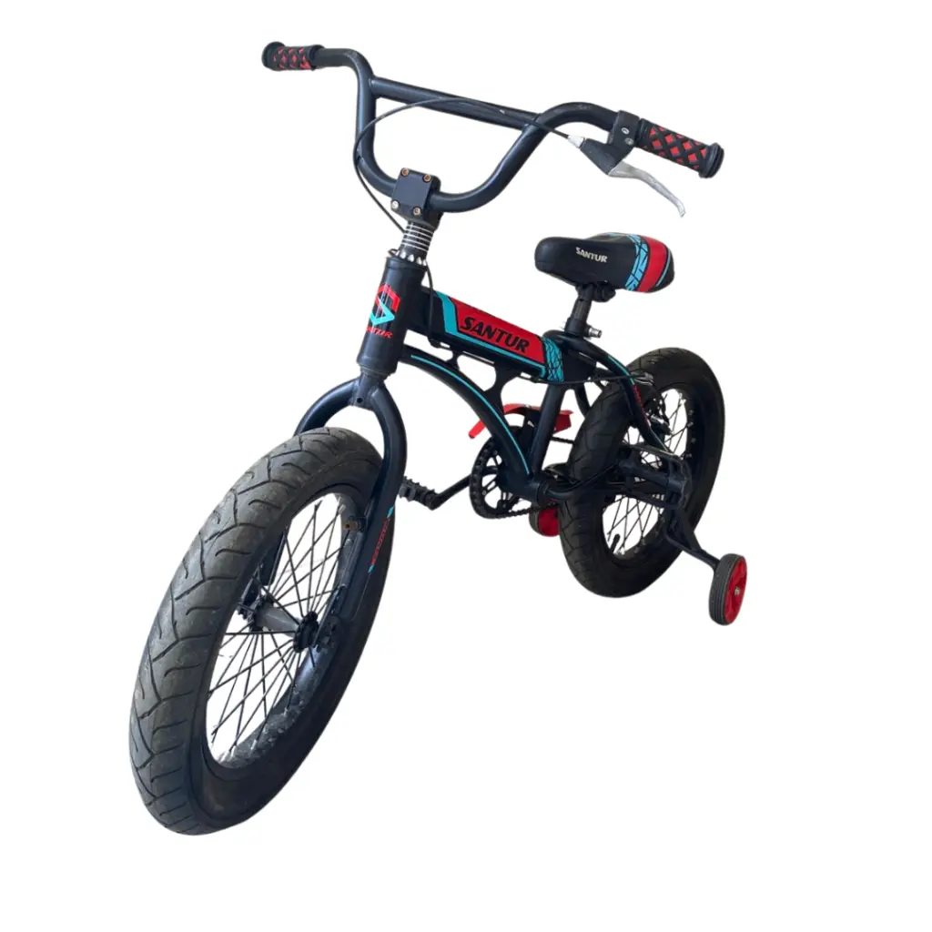 Bicicleta Santur Aro 16