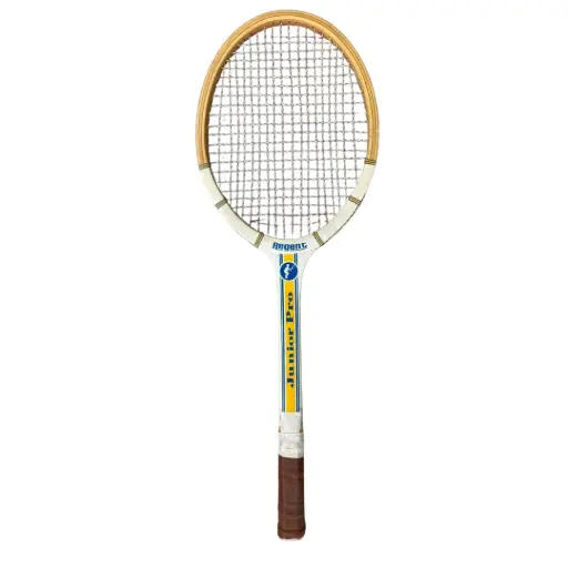 [398016.9] Raqueta Vintage Regent