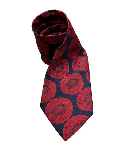 [6205361.91] Corbata  Sears