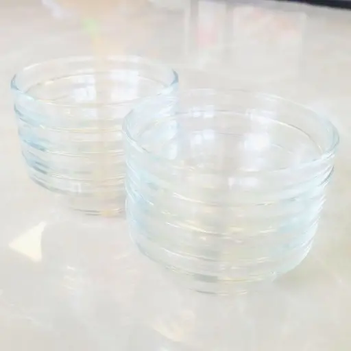 [1234567.3] Juego de 8 posillos de vidrio 200ml