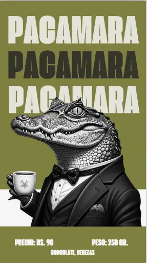 [7010918.25] Cafe Hanan . Variedad Pacamara